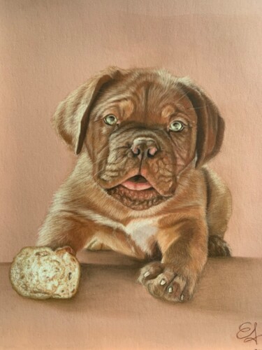 Dessin intitulée "Chiot dogue de bord…" par Jess.C.Art, Œuvre d'art originale, Pastel Monté sur artwork_cat.