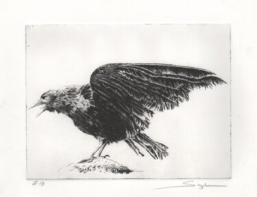 Printmaking titled "Le corbeau" by Segal-Creismeas, Original Artwork, Etching