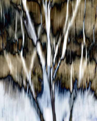 Photography titled "What's Mine Is Yours" by Gwendolyn Roth, Original Artwork, Digital Photography