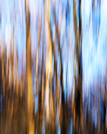 "Forest Fire" başlıklı Fotoğraf Gwendolyn Roth tarafından, Orijinal sanat, Dijital Fotoğrafçılık