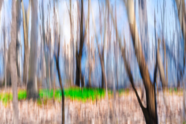 "Spring Impressions" başlıklı Fotoğraf Gwendolyn Roth tarafından, Orijinal sanat, Dijital Fotoğrafçılık