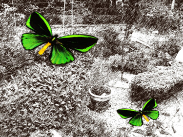 Photography titled "Herbal Garden" by Roxana Ferllini, Original Artwork, Manipulated Photography