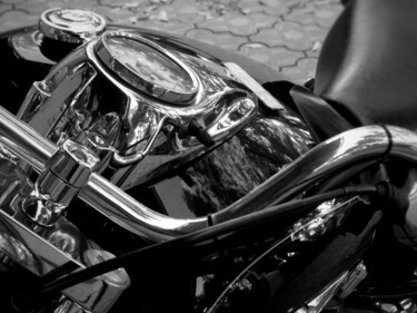 摄影 标题为“Steel horse” 由Раиса Николаева, 原创艺术品, 数码摄影