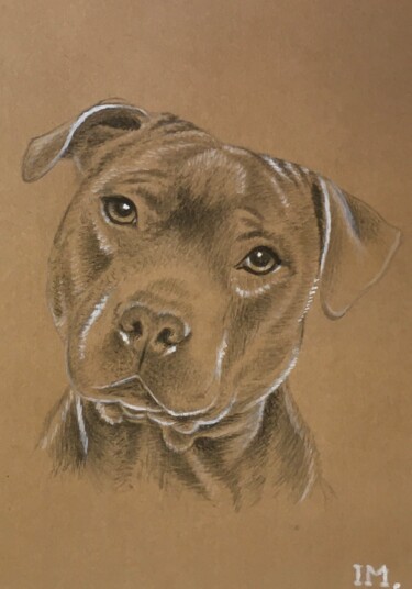 Peinture intitulée "Staffordshire bull…" par Isabelle Molinard, Œuvre d'art originale, Aquarelle