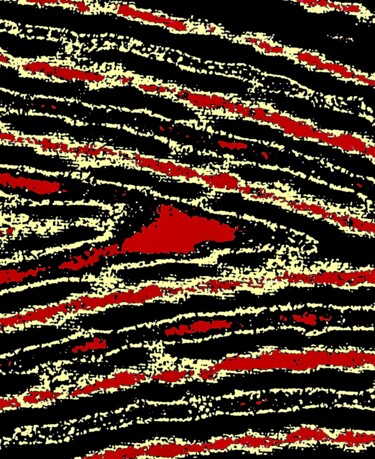 A Shark in a Swell in the Ocean on a Starry Night 100a7b 摄影 标题为“A Shark in a Swell…” 由Ken Lerner, 原创艺术品, 数码摄影