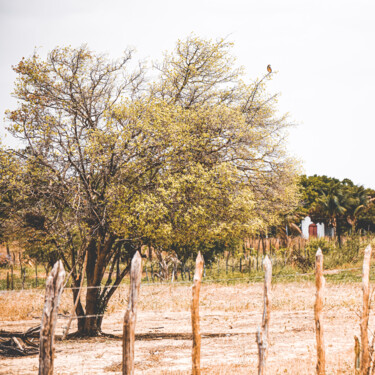 Fotografia intitulada "Paisagem de Sertão…" por Breno Pessoa, Obras de arte originais, Fotografia digital