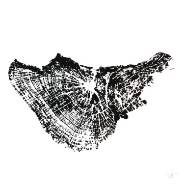 Hêtre. 90 ans Gravures & estampes intitulée "Hêtre. 90 ans" par Adrien Thivolle (l'âge des arbres), Œuvre d'art originale, Encre