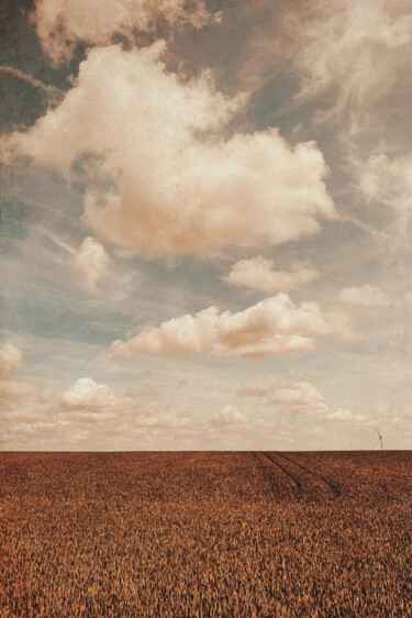 Photographie intitulée "Solitude" par Yasmina Baggili, Œuvre d'art originale, Photographie numérique