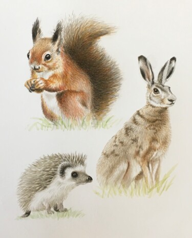 Painting titled "Trio faune" by Isabelle Molinard, Original Artwork, Watercolor