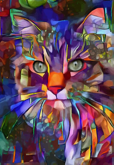 Salina Rainbow, cat