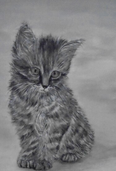 Peinture intitulée "chaton gris" par Sylvie Pinon, Œuvre d'art originale, Acrylique Monté sur Châssis en bois