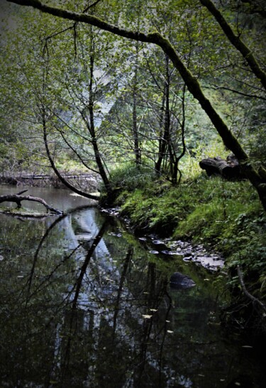 Photography titled "half circle" by Tammy Gauthreaux, Original Artwork, Non Manipulated Photography