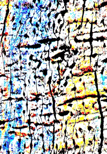 Wood 27 Photography titled "Wood 27" by Ken Lerner, Original Artwork, Digital Photography