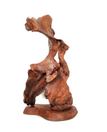 Аdeloid. Wood sculpture. 雕塑 标题为“Аdeloid. Wood sculp…” 由Lara Shabelnik, 原创艺术品, 木