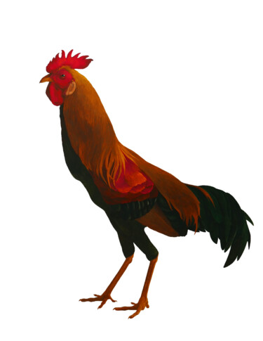 绘画 标题为“Ukrainian Rooster” 由Karina Danylchuk, 原创艺术品, 水彩