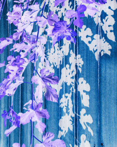 Photography titled "Mulling It Over" by Gwendolyn Roth, Original Artwork, Digital Photography