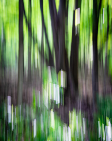 Φωτογραφία με τίτλο "Dappled Light" από Gwendolyn Roth, Αυθεντικά έργα τέχνης, Ψηφιακή φωτογραφία