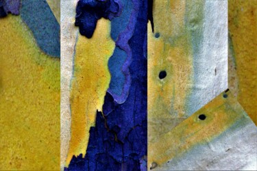 Photography titled "Bark in Colors Séri…" by Marie Marlène Mahalatchimy, Original Artwork, Non Manipulated Photography