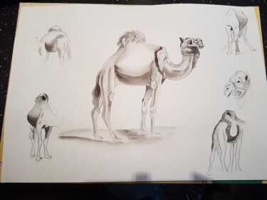 Dromadaire, aquarelle, encre de chine, format A3 Dessin intitulée "Dromadaire, aquarel…" par Yulia Pelevina, Œuvre d'art originale, Aquarelle