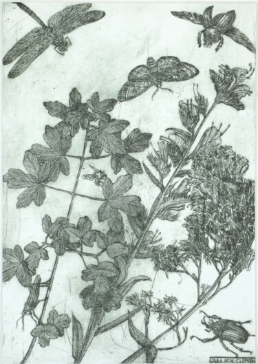 印花与版画 标题为“Plante et insectes” 由Jean-François Jullien, 原创艺术品, 雕刻