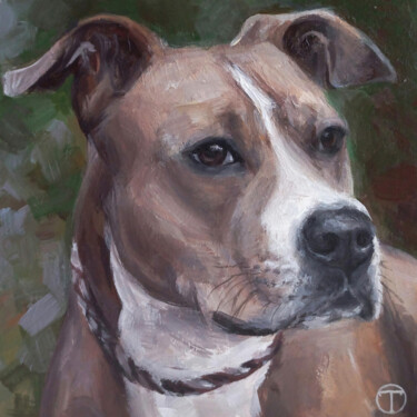 Painting titled "American Staffordsh…" by Olia Tomkova, Original Artwork, Acrylic