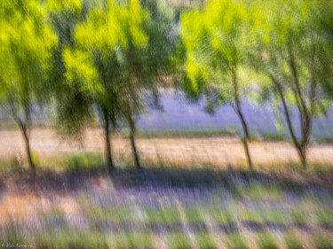 Paysage de provence Photographie intitulée "Paysage de provence" par Alain Rappeneau, Œuvre d'art originale, Photographie numérique