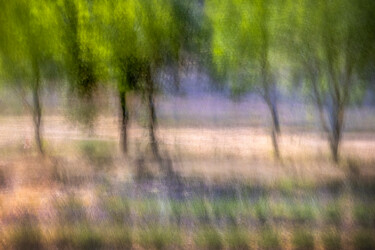 Paysage de provence #2 Photographie intitulée "Paysage de provence…" par Alain Rappeneau, Œuvre d'art originale, Photographie numérique