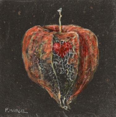 Physalis, amour en cage libéré sur Ardoises