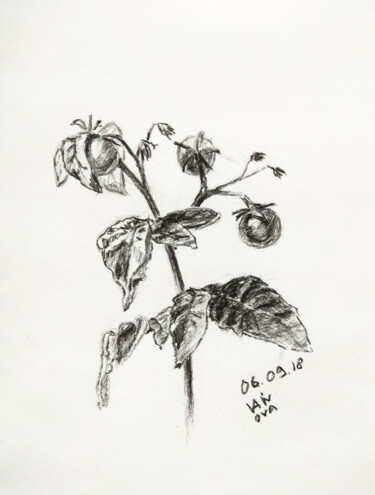 Dessin intitulée "mini tomato" par Alex Vainova, Œuvre d'art originale, Fusain