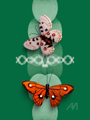 数字艺术 标题为“Borboleta no Abstra…” 由Gabriela Radiante, 原创艺术品, 数字油画