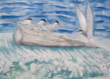 AQUARELLE originale et unique intitulée: Sternes arctiques Peinture intitulée "AQUARELLE originale…" par Isabelle Redonnet, Œuvre d'art originale, Aquarelle