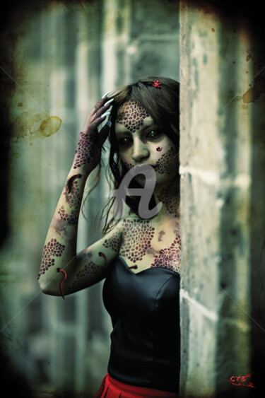 Arts numériques intitulée "Création 367" par Accèscyb, Œuvre d'art originale, Photo montage