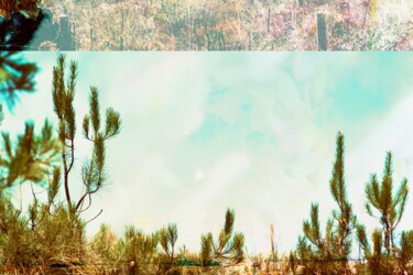 Photography titled "Sierra" by Ivory Lp - Studio, Original Artwork, Digital Photography