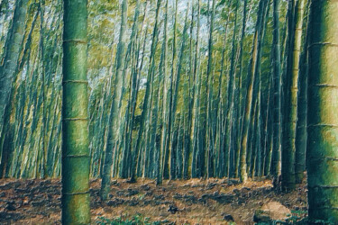 Painting titled "Rubino Japan Japane…" by Tony Rubino, Original Artwork, Acrylic Mounted on Wood Stretcher frame
