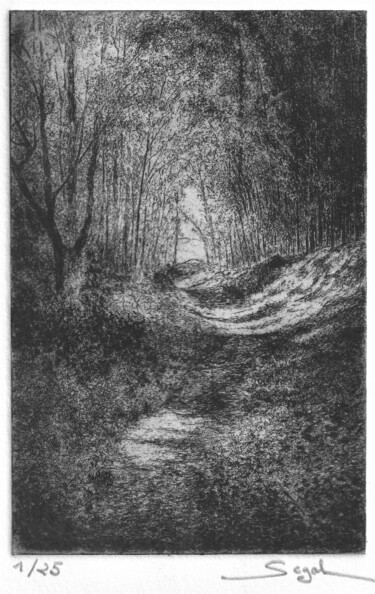 Printmaking titled "Chemin forestier" by Segal-Creismeas, Original Artwork, Etching