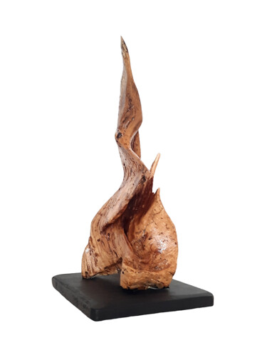 Flame of Hope. Wood abstract sculpture. 雕塑 标题为“Flame of Hope. Wood…” 由Lara Shabelnik, 原创艺术品, 木