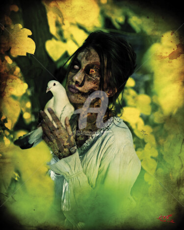 Arts numériques intitulée "Création 374" par Accèscyb, Œuvre d'art originale, Photo montage
