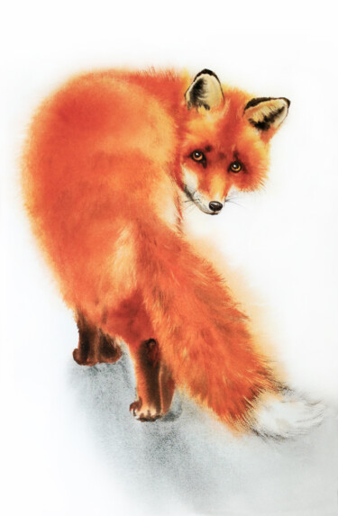 绘画 标题为“Red Fox with Sly Ey…” 由Olga Beliaeva, 原创艺术品, 水彩