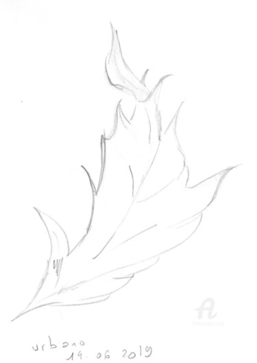 Dessin intitulée "Feuille d' automne" par Roberto Urbano, Œuvre d'art originale, Crayon