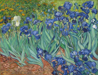 Iris Peinture intitulée "Iris" par Vincent Van Gogh, Œuvre d'art originale, Huile