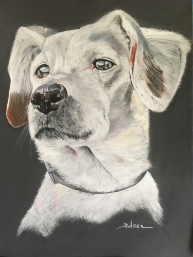 Zeichnungen mit dem Titel "« Frida »" von Franck Bilger, Original-Kunstwerk, Pastell