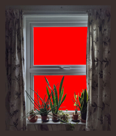 The Red Window