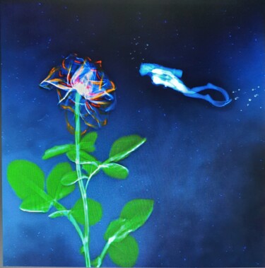 Arts numériques intitulée "La Rose de Verre" par Valerie Marco Rayon X (RAYON X), Œuvre d'art originale, Travail numérique 2D