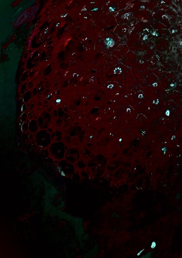 Цифровое искусство под названием "Red" - Sergei Kozachenko, Подлинное произведение искусства, 2D Цифровая Работа