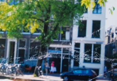 제목이 "Spinnenweb"인 사진 Daniel Polyakov로, 원작, 조작되지 않은 사진