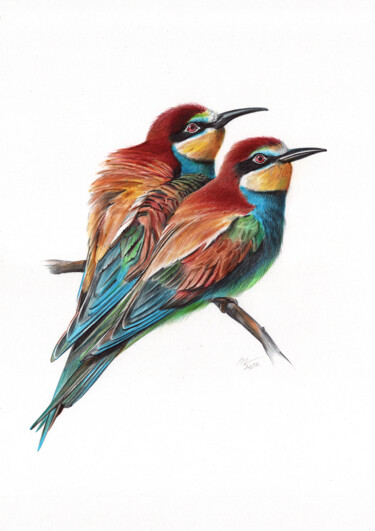 European Bee eater (Realistic Ballpoint Pen Bird Portrait) Dessin intitulée "European Bee eater…" par Daria Maier, Œuvre d'art originale, Stylo à bille