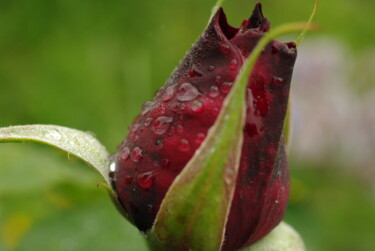 Photographie intitulée "Après la pluie 2" par Philip Moreau, Œuvre d'art originale, Photographie numérique