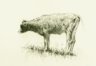 图画 标题为“Heifer” 由David Beglaryan, 原创艺术品, 墨