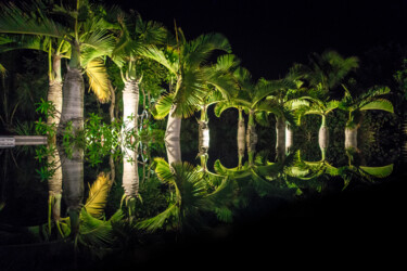 Photographie intitulée "Miroir" par Jean-Guy Nakars, Œuvre d'art originale, Photographie numérique