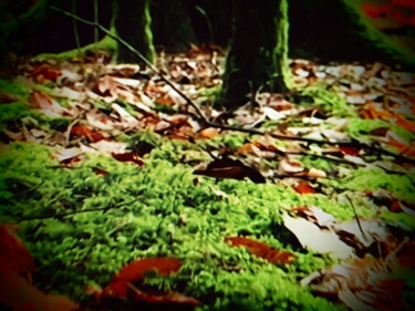 Photographie intitulée "la foret bavaroise" par Musclor, Œuvre d'art originale, Photographie numérique